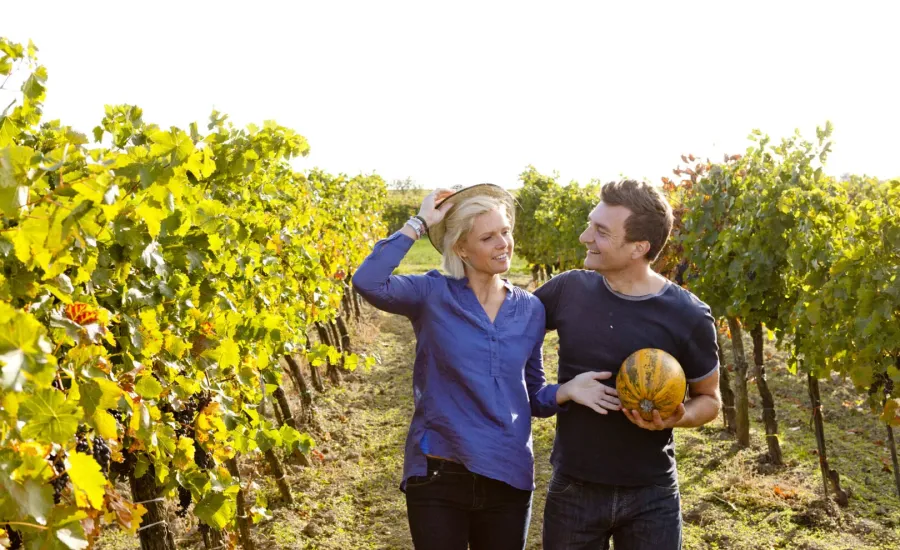 Die Kürbis-Highlights im Herbst